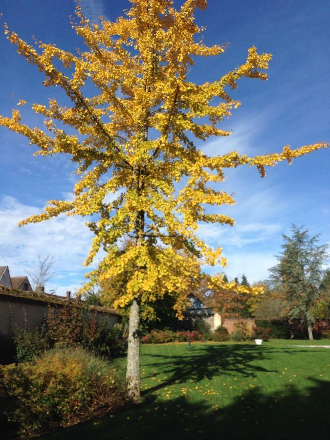 Les Couleurs Du Verger Beaumont-les-Autels Екстериор снимка